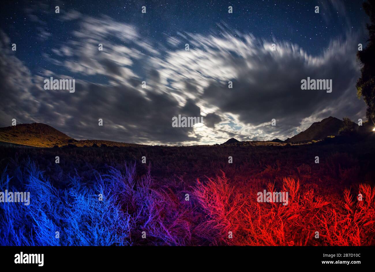 Surreal landscape of night starry sky and field with blue and red color grass Stock Photo