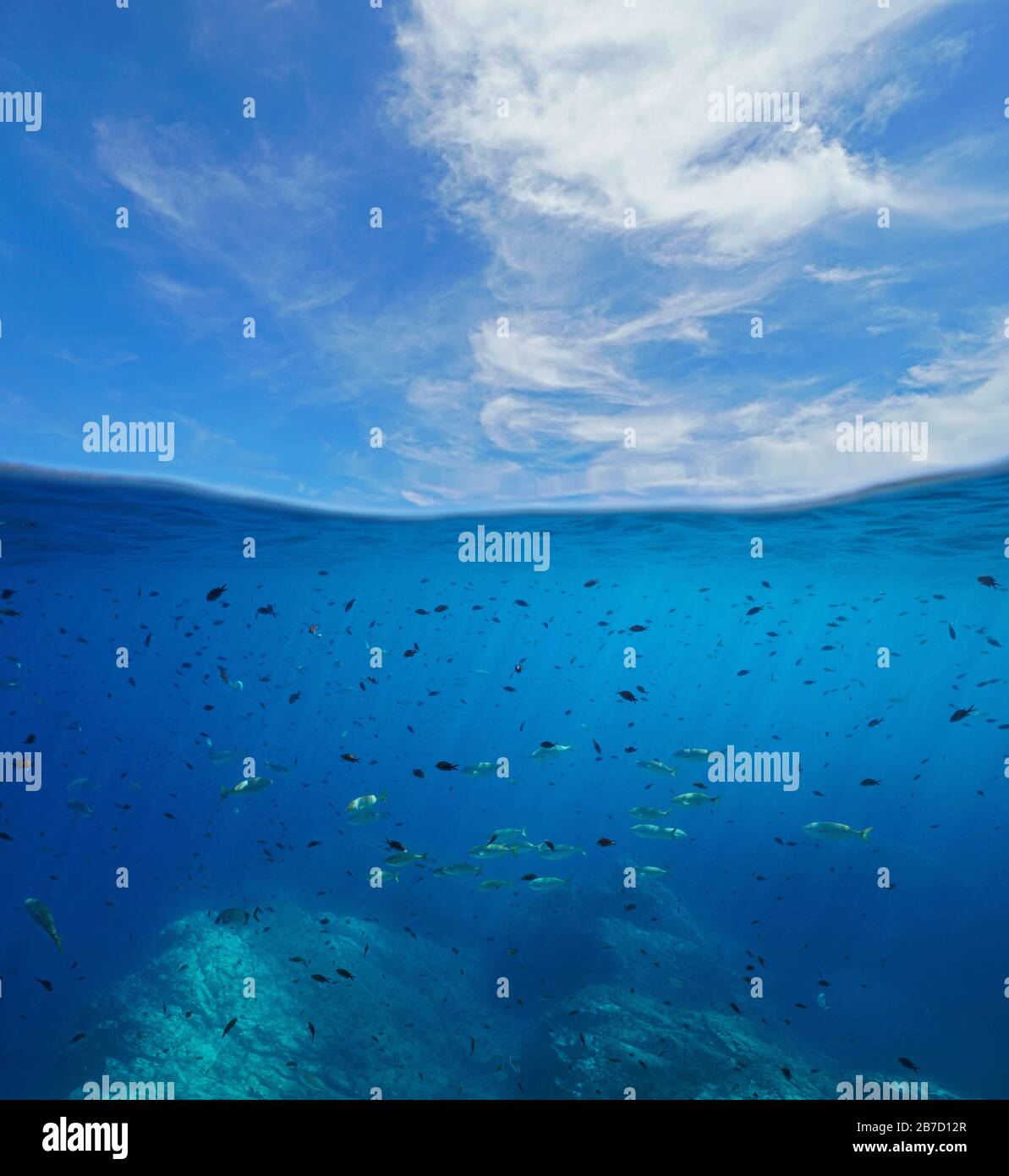 Seascape of Mediterranean sea, many fish underwater and blue sky with ...
