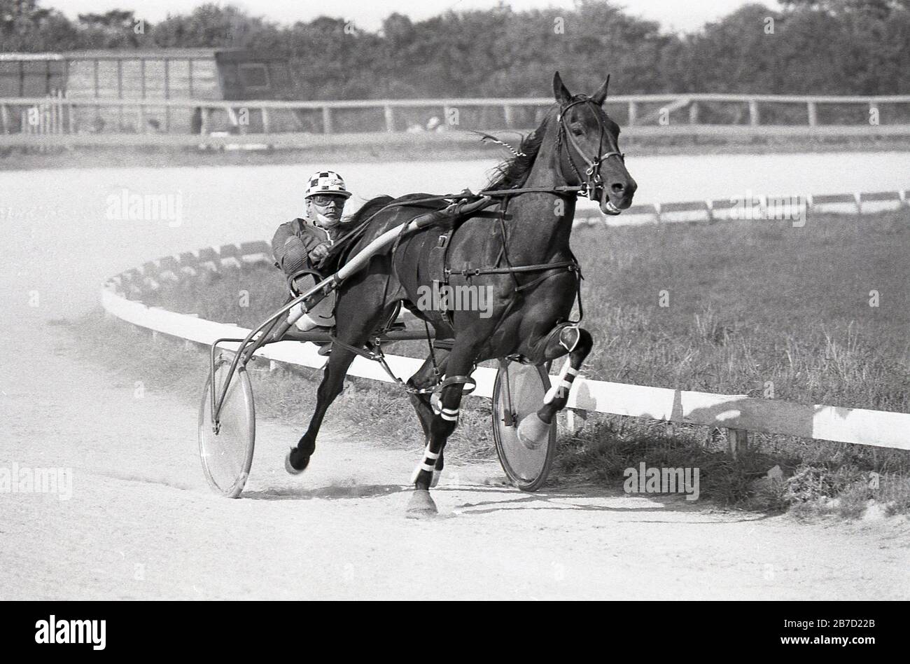 1986, historical, competitor taking part in harness racing, a form of