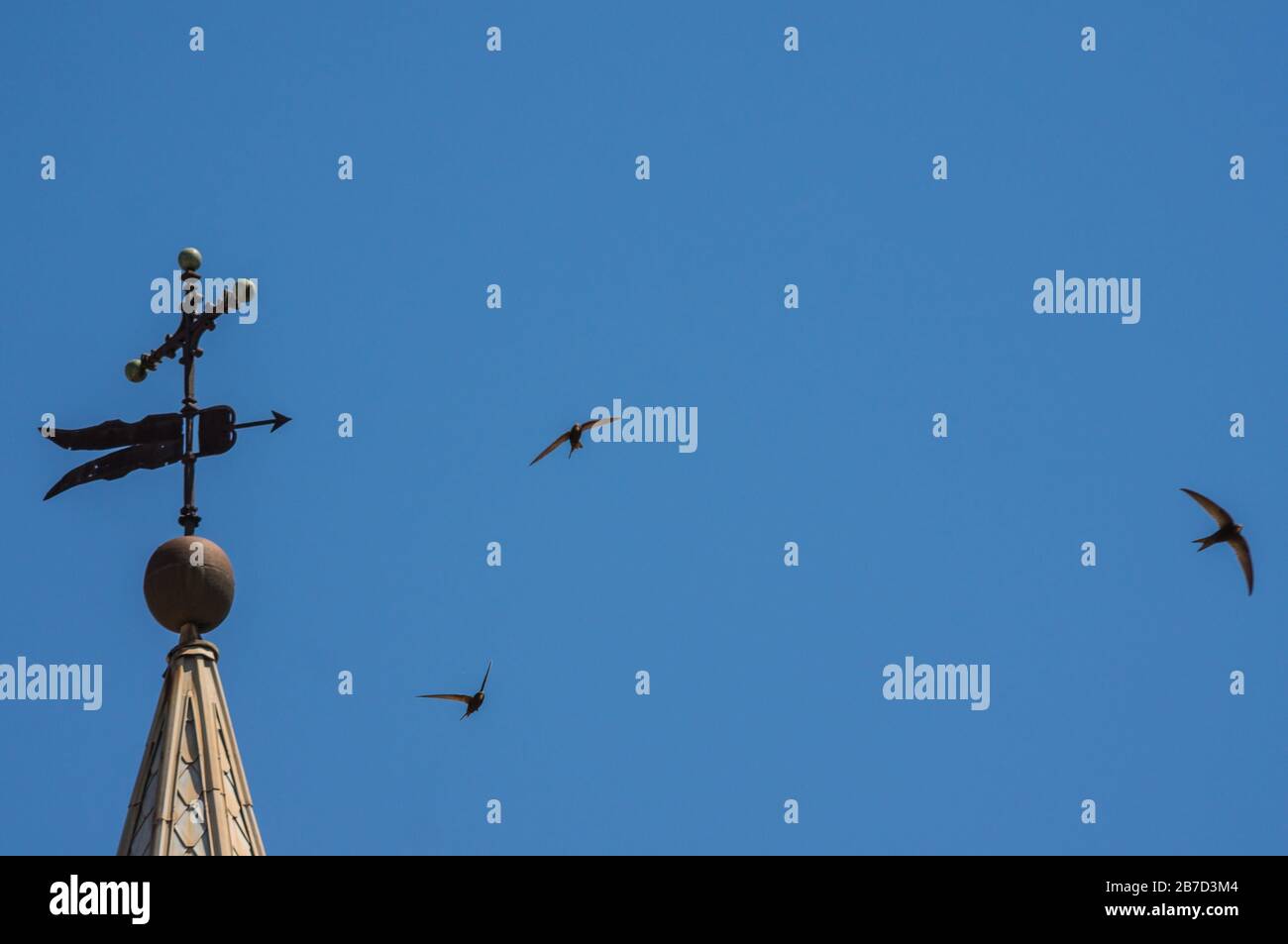 Religion concept. Weather vane with christian cross and swallows flying in blue sky Stock Photo