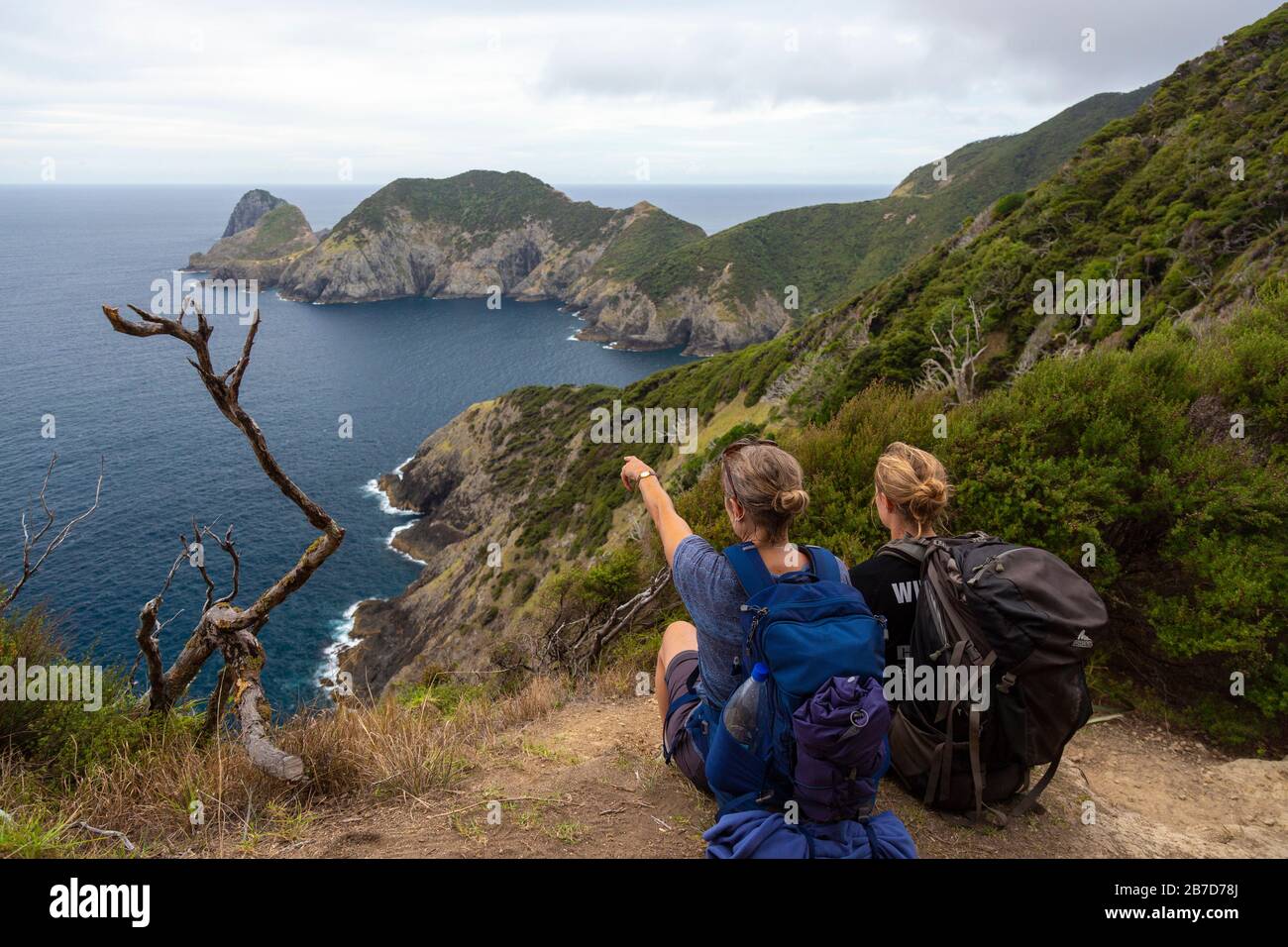 Hikers looking out at Cape Brett Peninsula on the Cape Brett Walkway,  Northland, New Zealand Stock Photo - Alamy