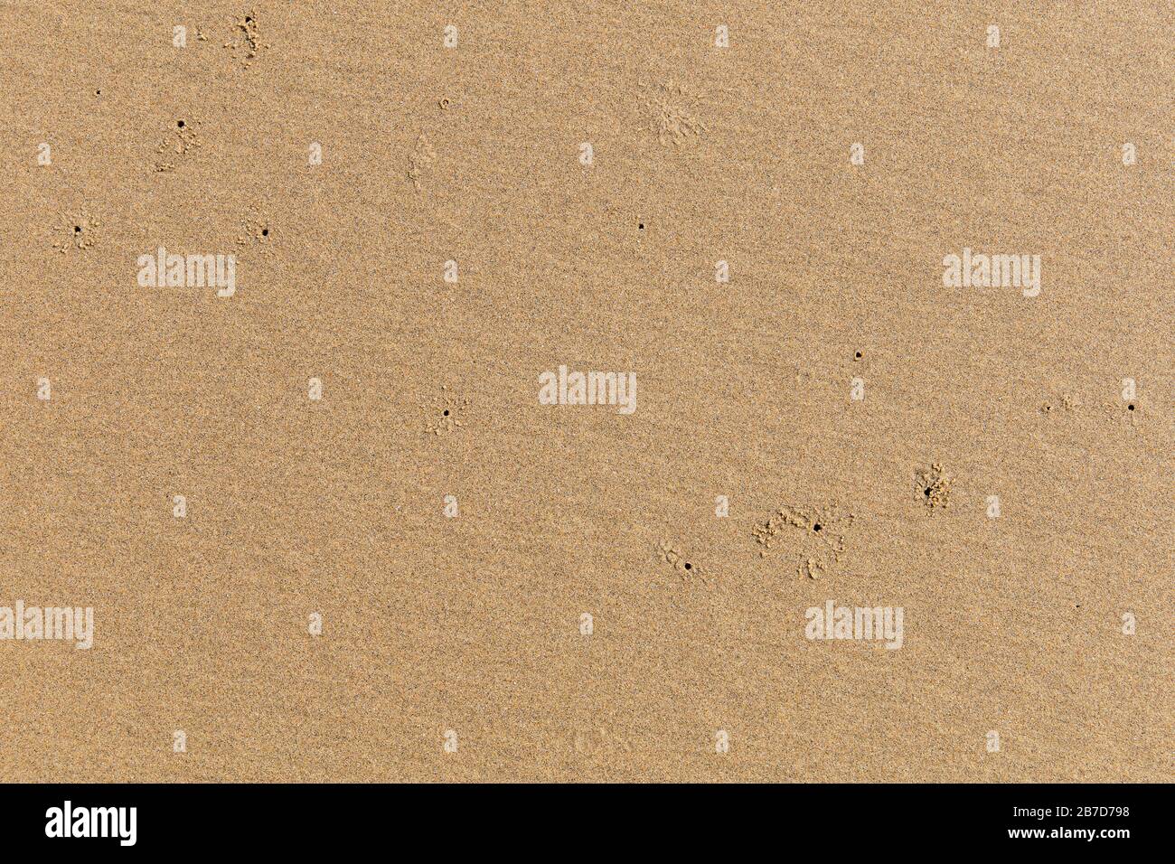 Beach Sand Texture High Resolution Stock Photography And Images Alamy