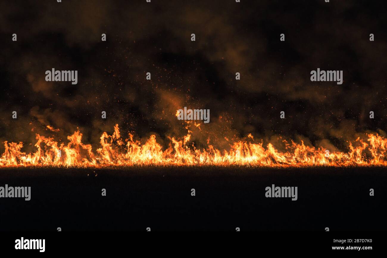 burning dry field in night time Stock Photo