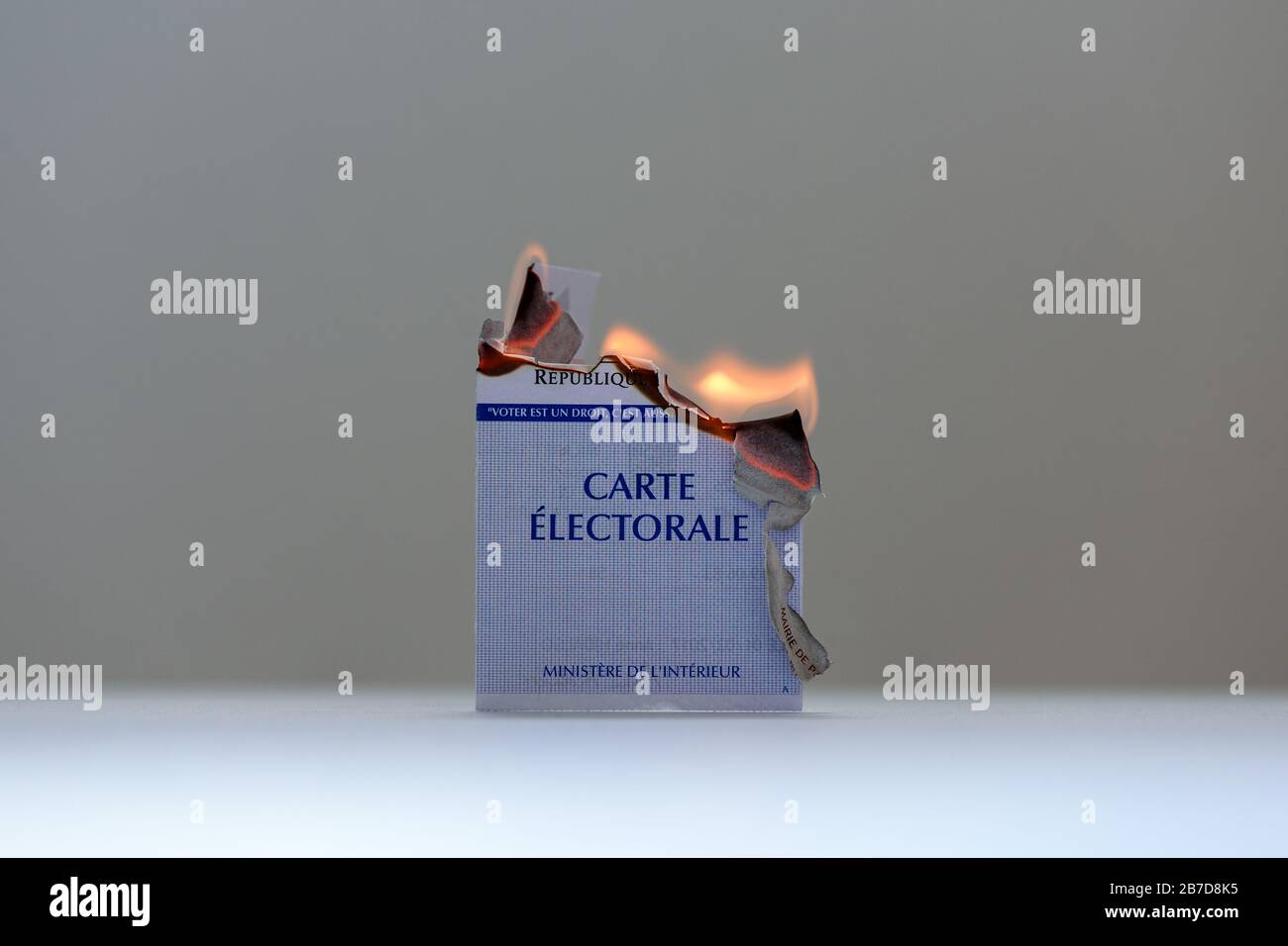 burning official french electoral voter card symbolizing protest and subversion, isolated on grey background, Stock Photo