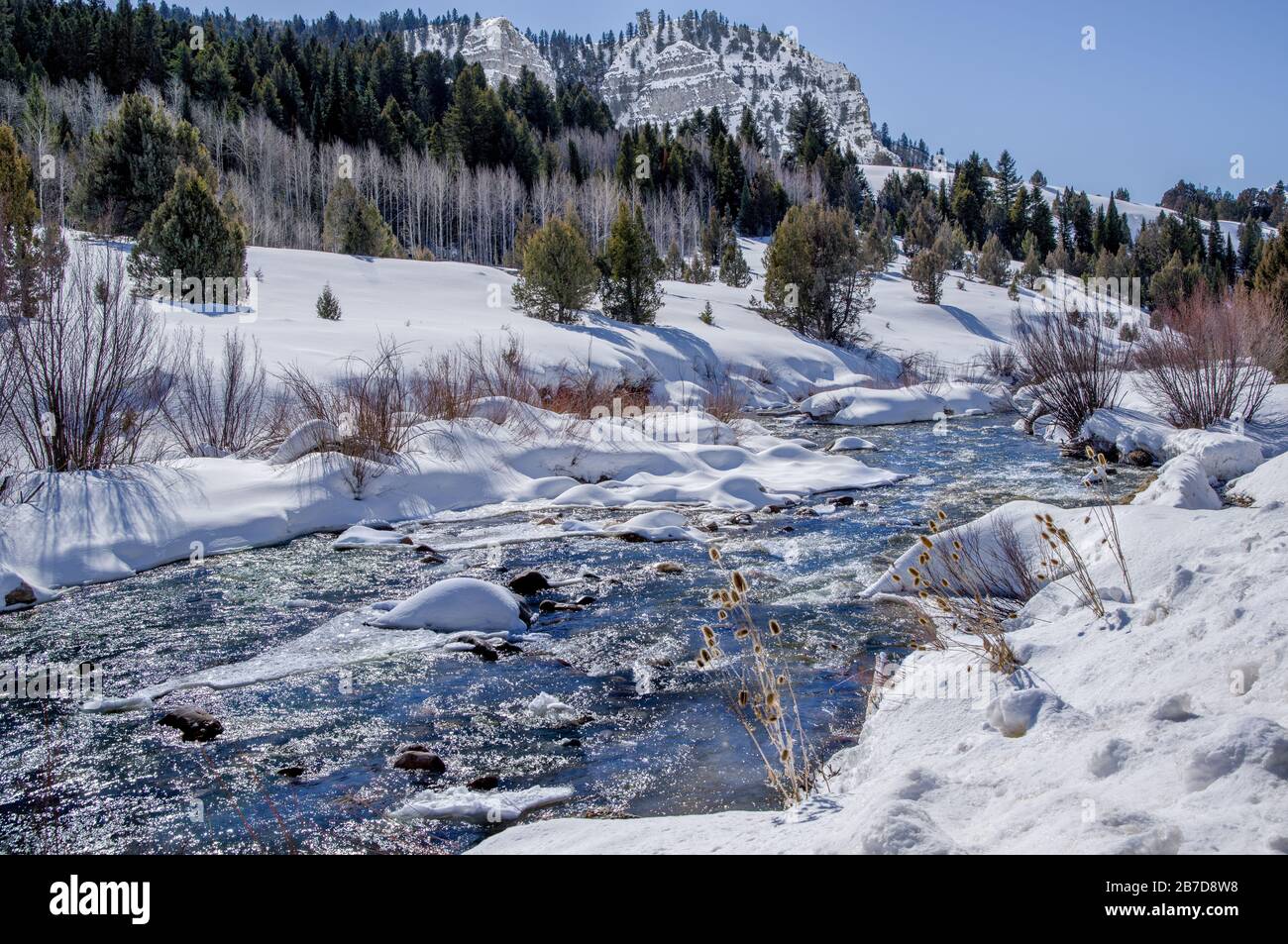 Icy Mountain Stream in Utah:  Bright sunlight sparkles on the surface of a stream flowing through ice and snow in the Mt. Naomi Wilderness Area. Stock Photo