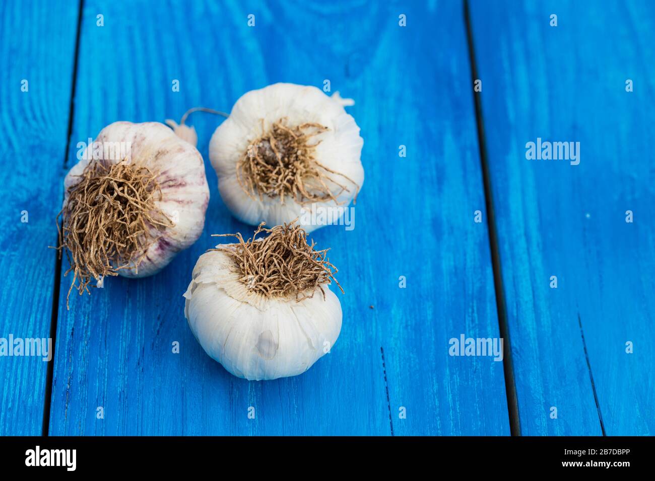 Garlic cloves and bulbs Stock Photo Alamy
