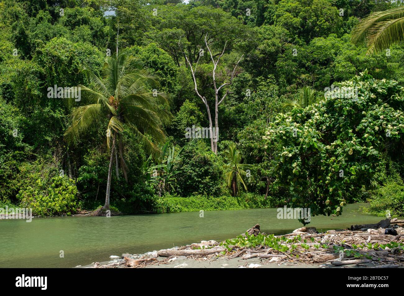 Rio Madrigal, Corcovado National Park, Costa Rica, Centroamerica Stock