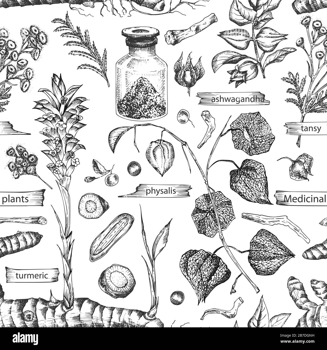 Seamless pattern with vintage hand drawn sketch medicine herbs elements isolated on white background. wormwood, turmeric, tansy, ashwagandha Stock Vector