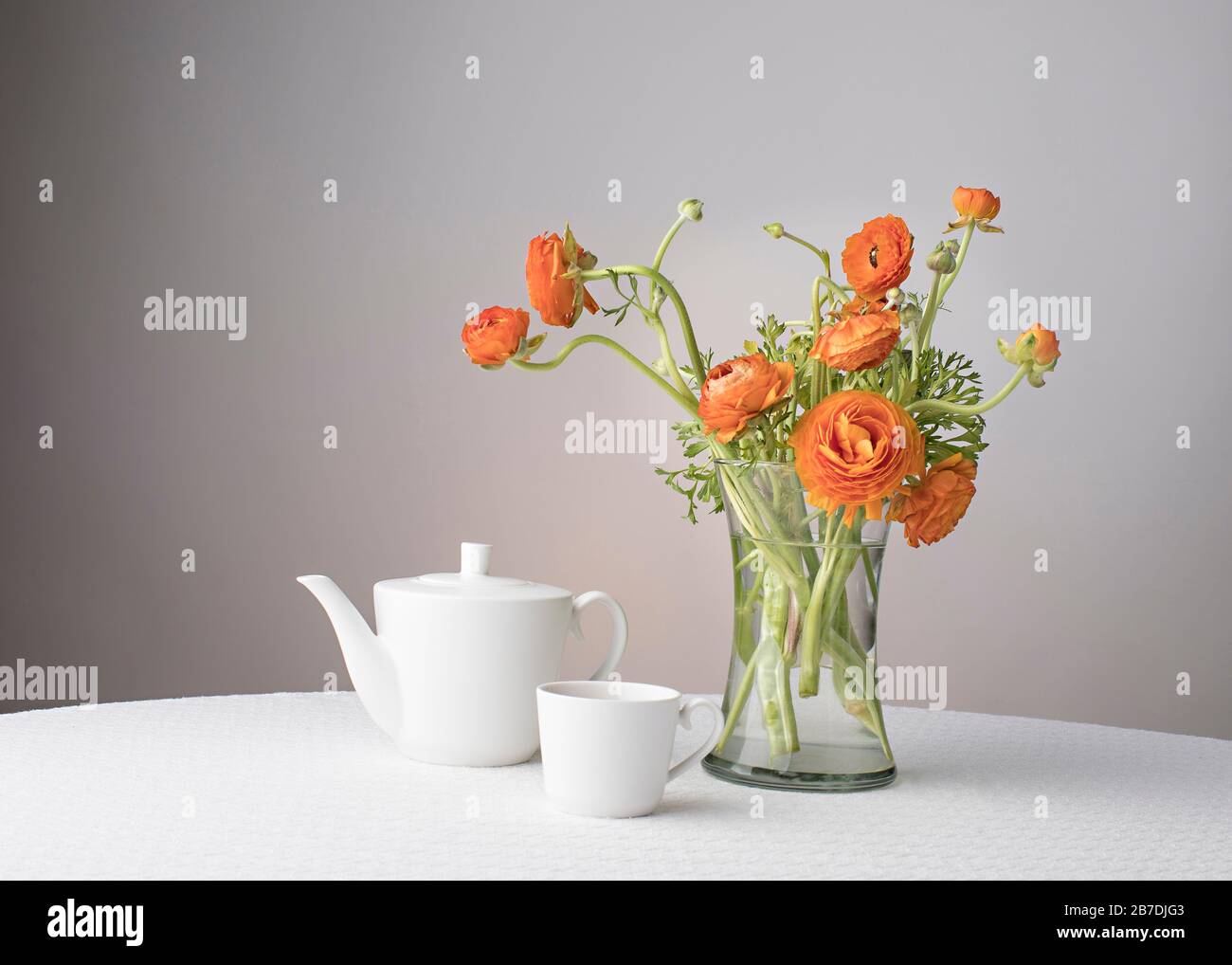 Room for text on the seamless background above the tea set and flowers with modern studio lighting Stock Photo