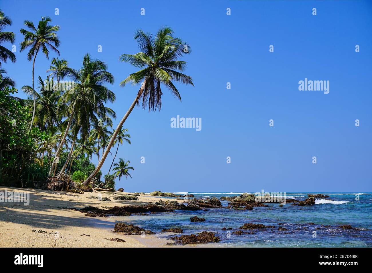Scenic view of coconut palms and the Idian Ocean from the pristine sandy beach. The beaches of Sri Lanka (such as Hikkaduwa, Mirissa, Unawatuna) are b Stock Photo