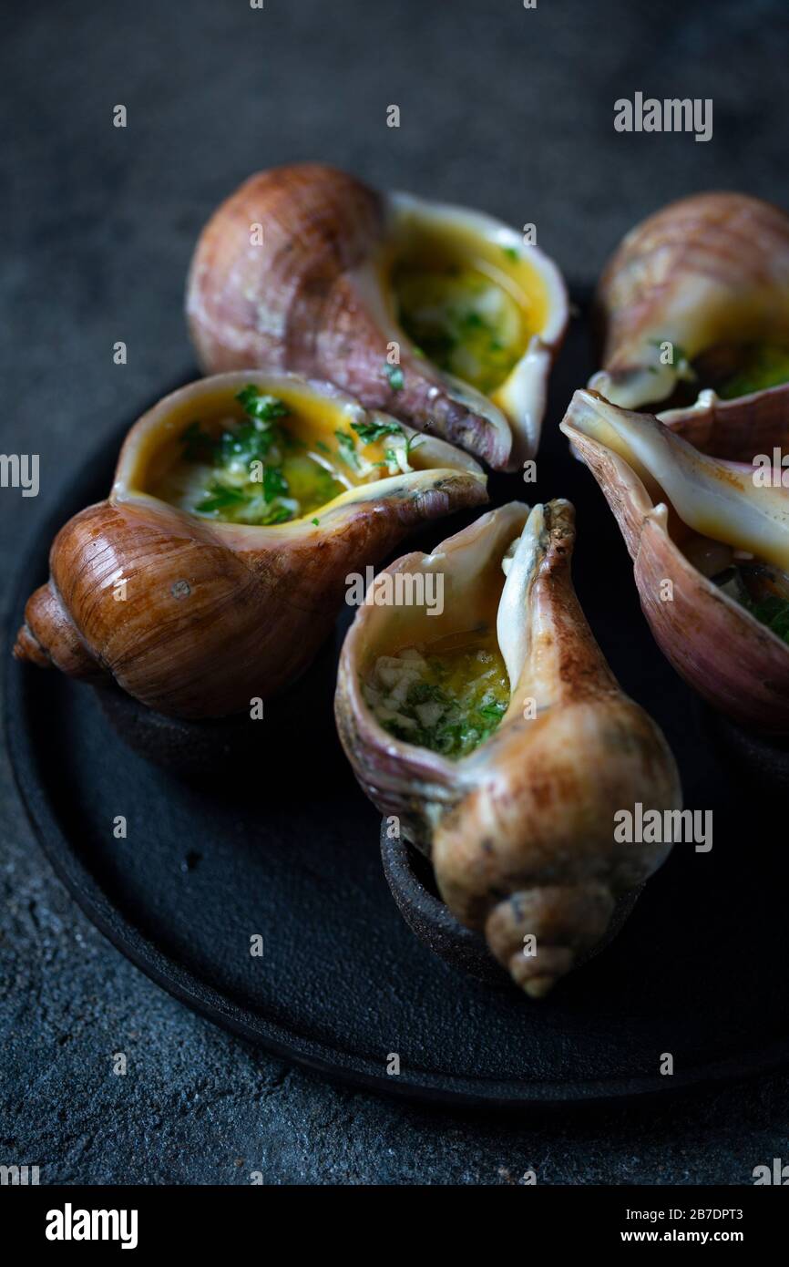 Giant snails escargots baked with butter, garlic and parsley Stock