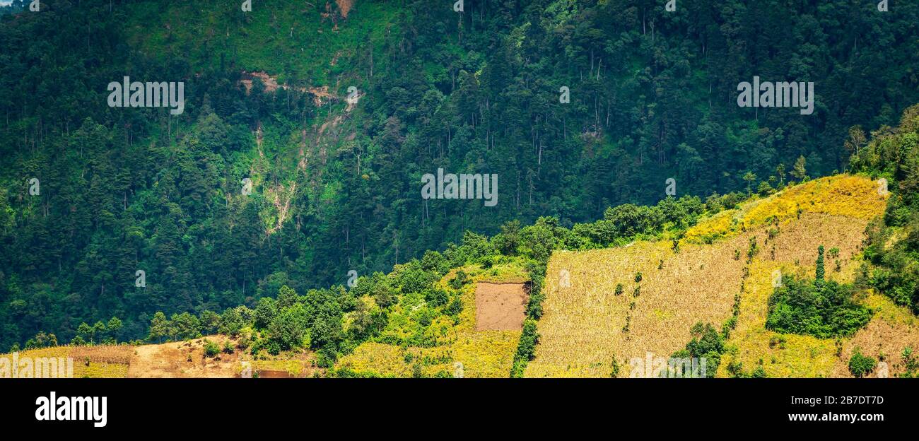 Hillside farming in Guatemala on steep ridges in patchwork shapes Stock Photo