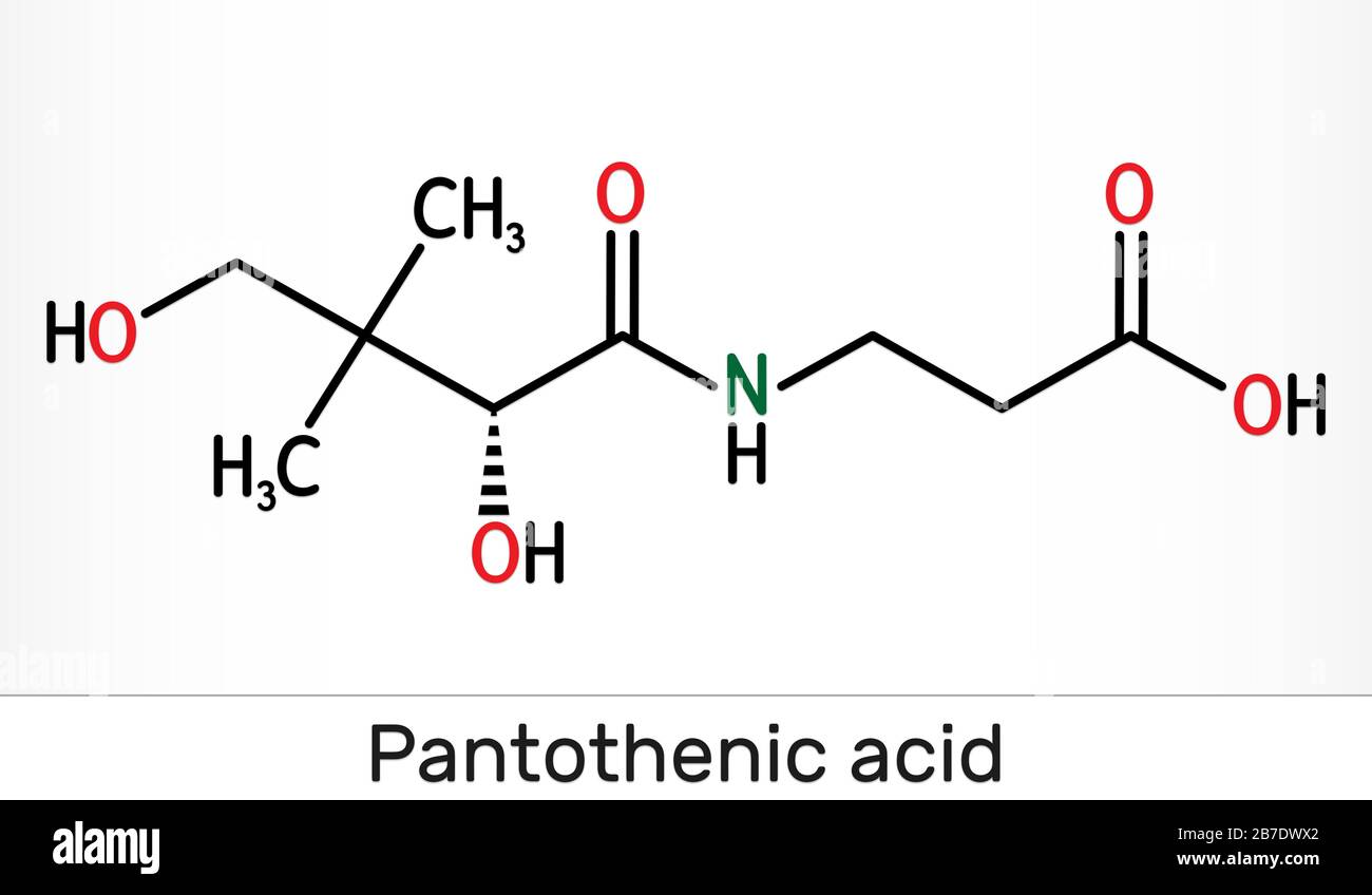 Pantothenic acid ( vitamin B5, pantothenate ) . Structural chemical formula and molecule model