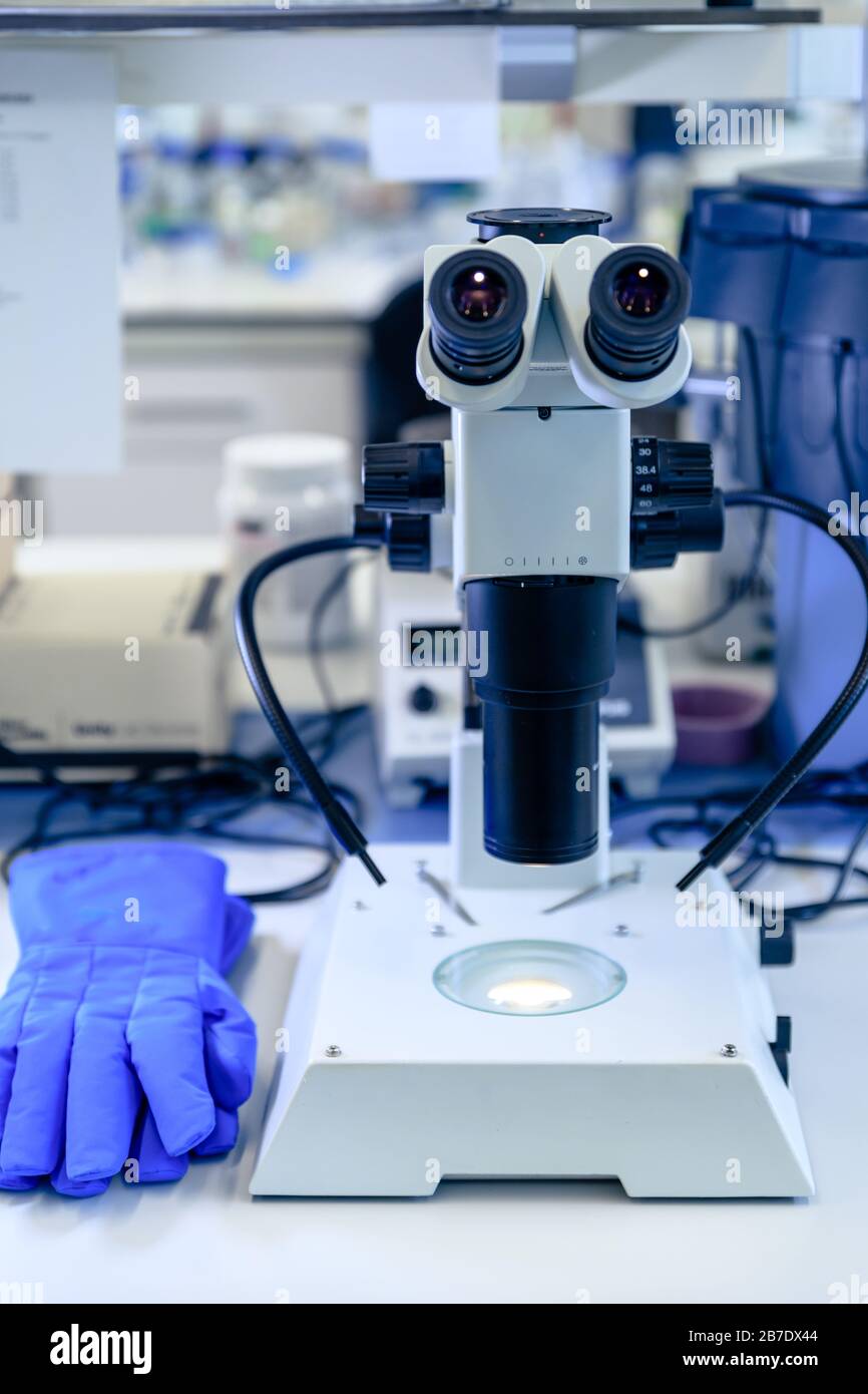 Stereomicroscope molecular hi-res stock photography and images - Alamy
