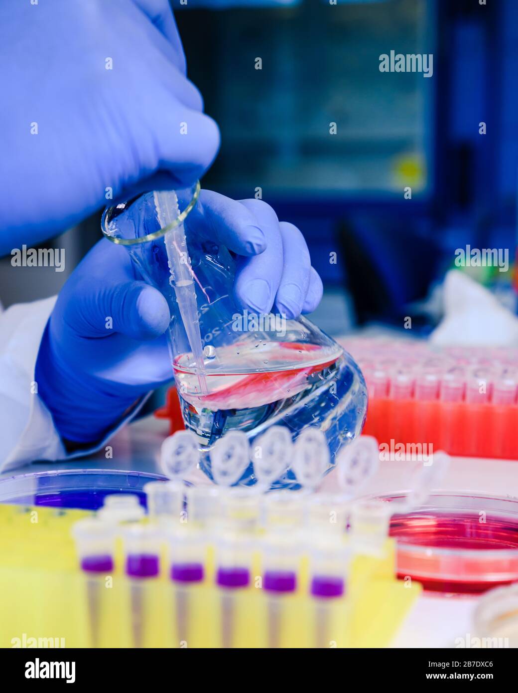 Pipelette Science Scientist working with a pipette and a flask, in plastic tubes for DNA ...
