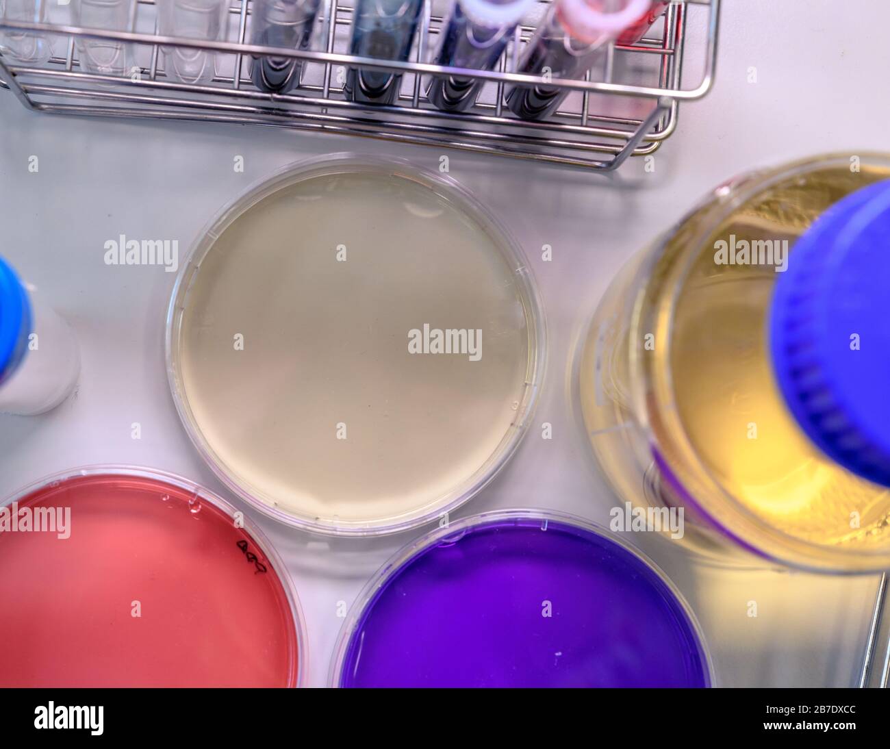 Petri dishes, test tubes and laboratory equipment, with coloring