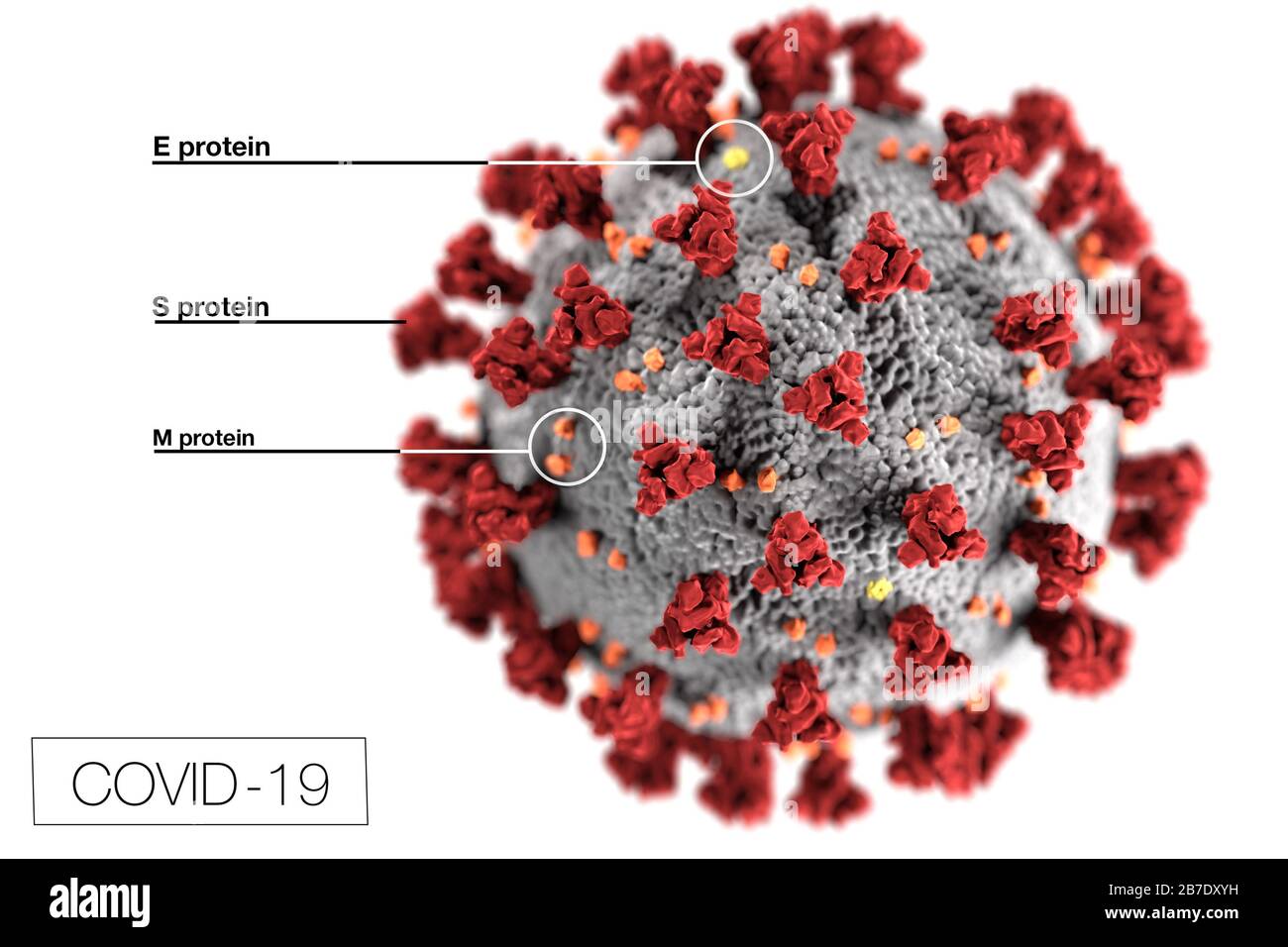This illustration, created at the Centers for Disease Control and Prevention (CDC), reveals ultrastructural morphology exhibited by coronaviruses. Note the spikes that adorn the outer surface of the virus, which impart the look of a corona surrounding the virion when viewed electron microscopically. Credit: UPI/Alamy Live News Stock Photo