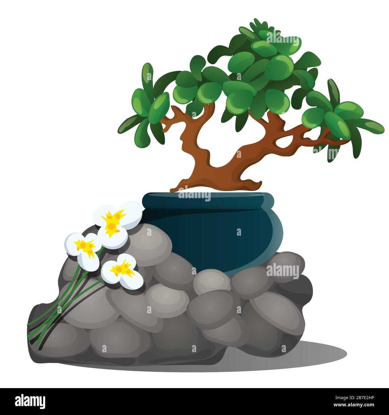 A beautiful composition of grey stones, a miniature potted tree bonsai and fresh spring flowers of daffodils isolated on white background. Vector Stock Vector