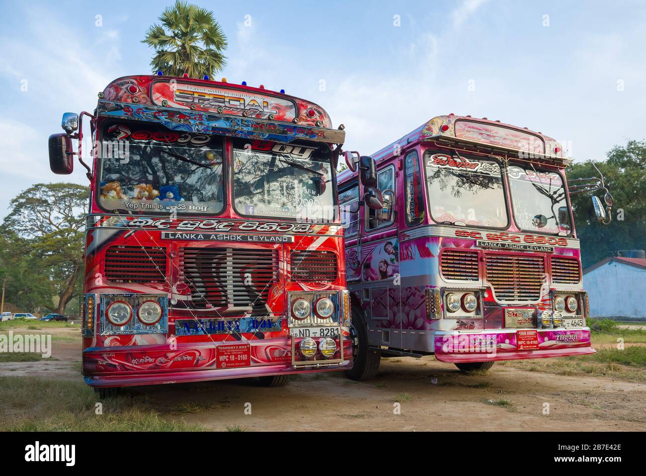 ANURADHAPURA, SRI LANKA - FEBRUARY 04, 2020: Two painted tourist buses 'Ashok Leyland' close-up. Front view Stock Photo