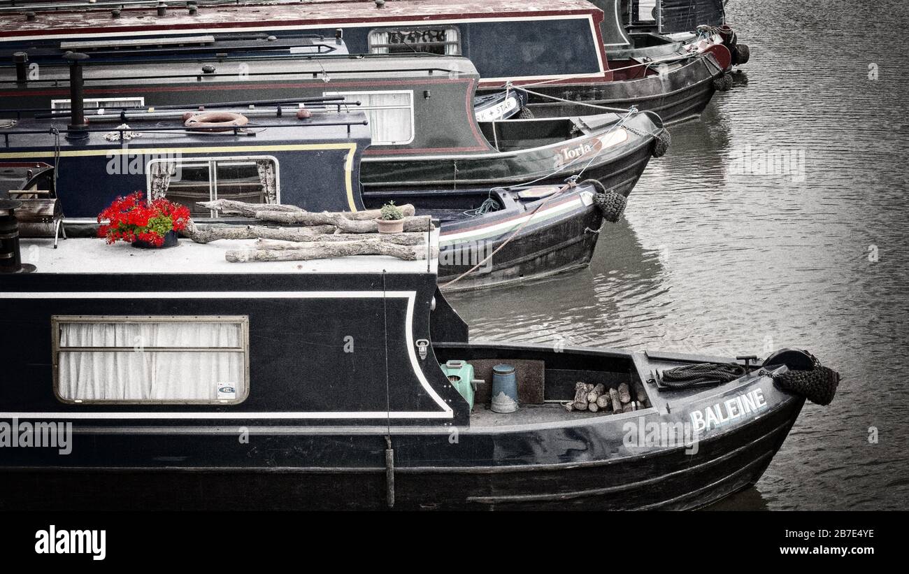 Moored narrowboats on the River Thames, in Black & white with red flowers on roof Stock Photo