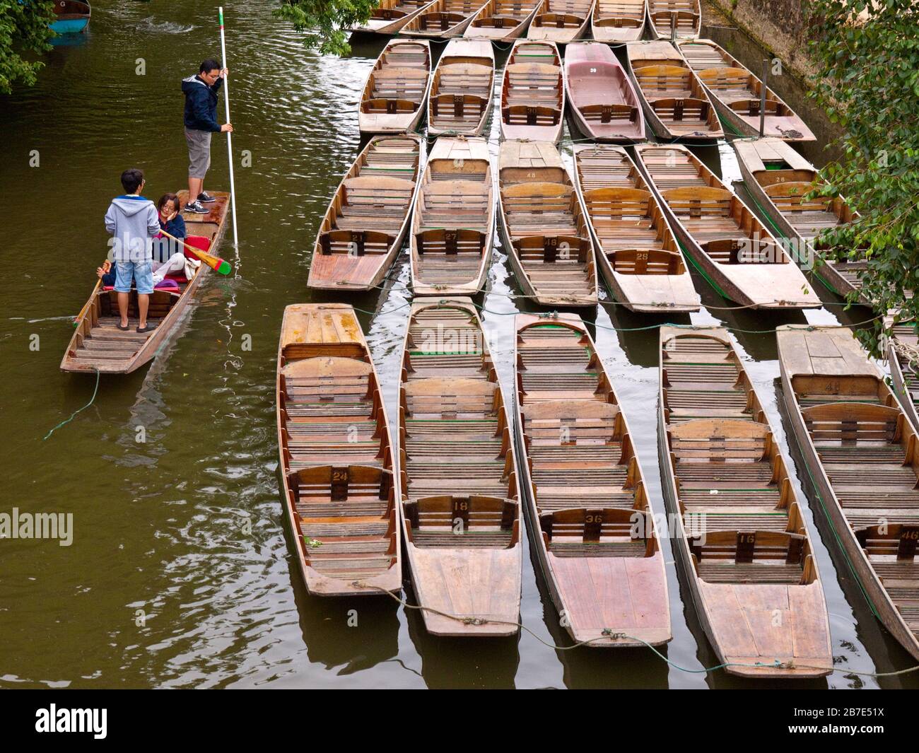 Moored punts on the River Cherwell in Oxford, UK Stock Photo