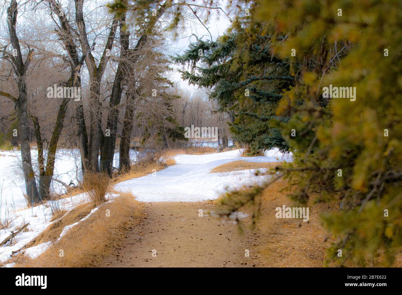 Quiet urban trail hi-res stock photography and images - Alamy