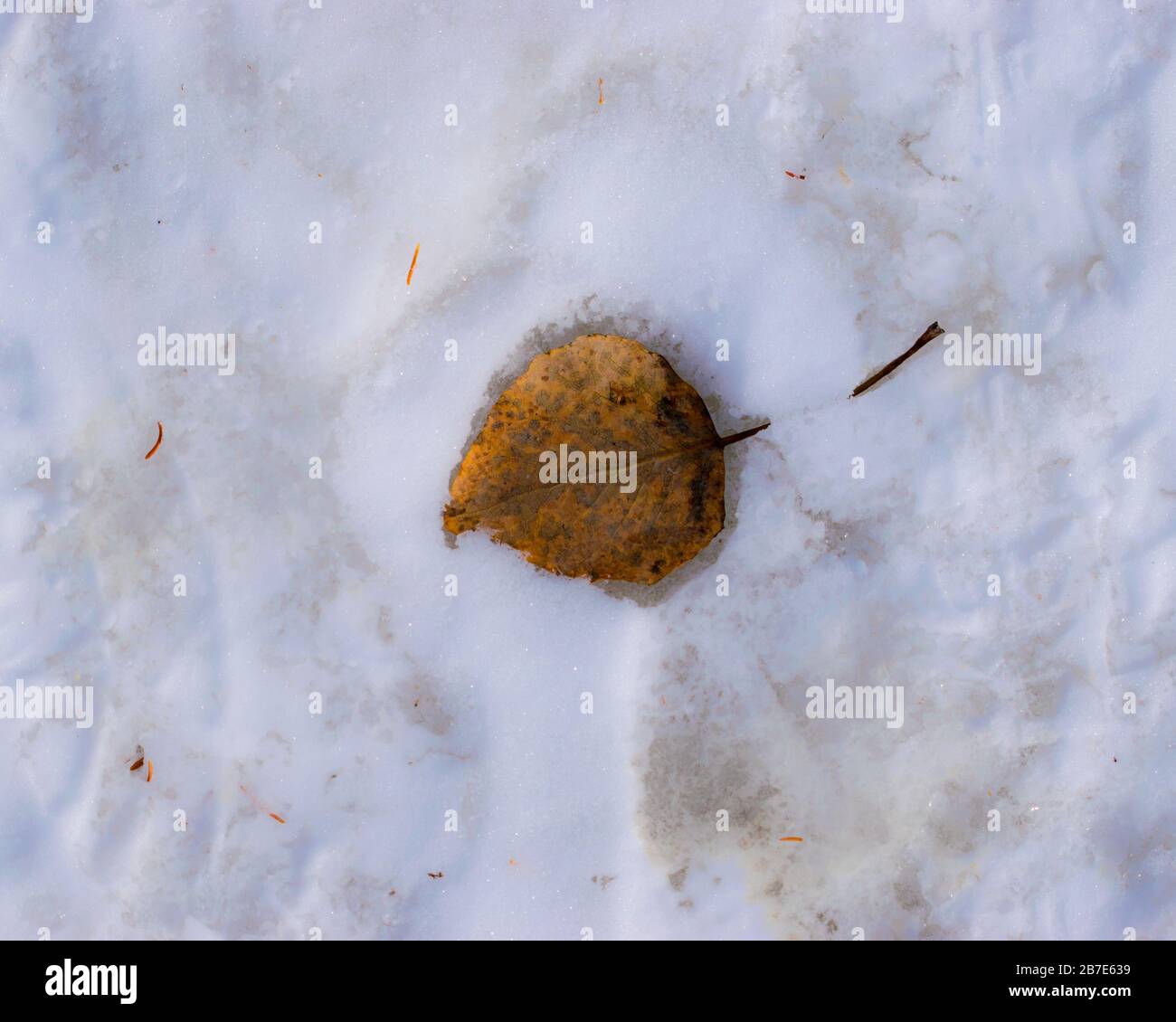 Quiet urban trail hi-res stock photography and images - Alamy