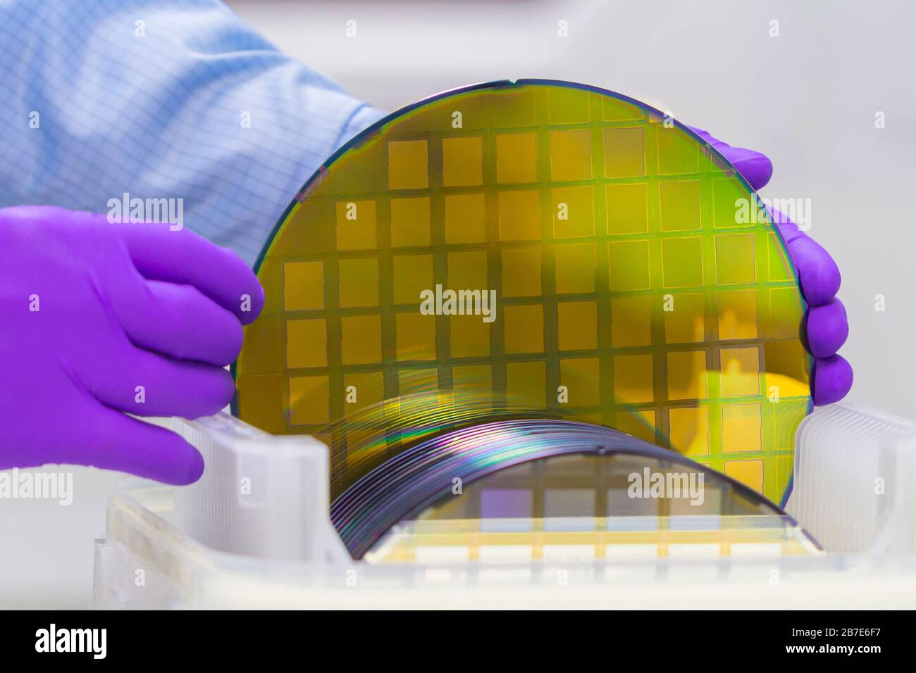 Silicon Wafer with semiconductors in plastic white storage box take out by hand in gloves inside clean room. Stock Photo