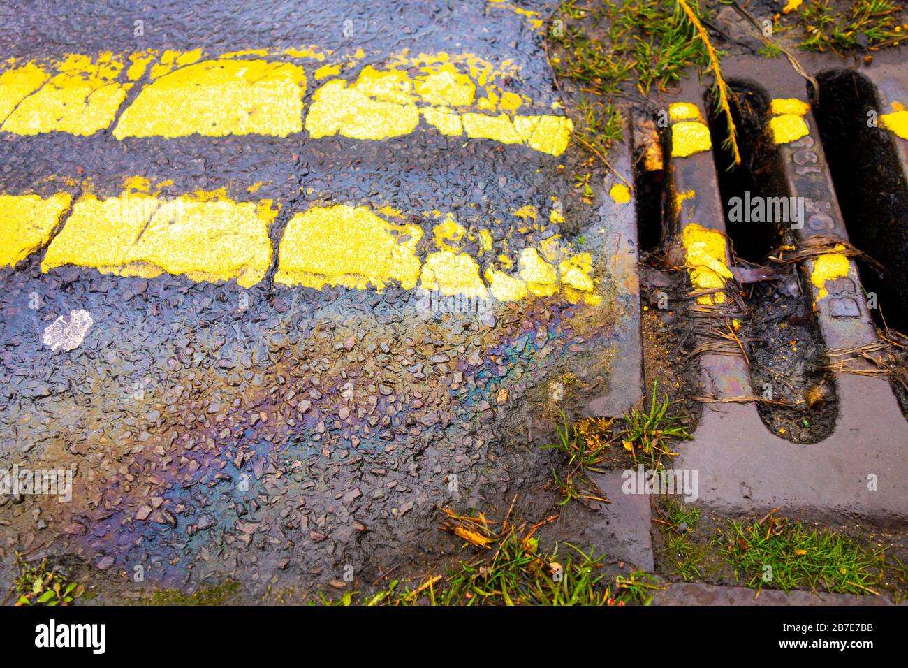 Petrol Gasoline Oil Spill on The Road Tarmac Rainbow Colour Pollution