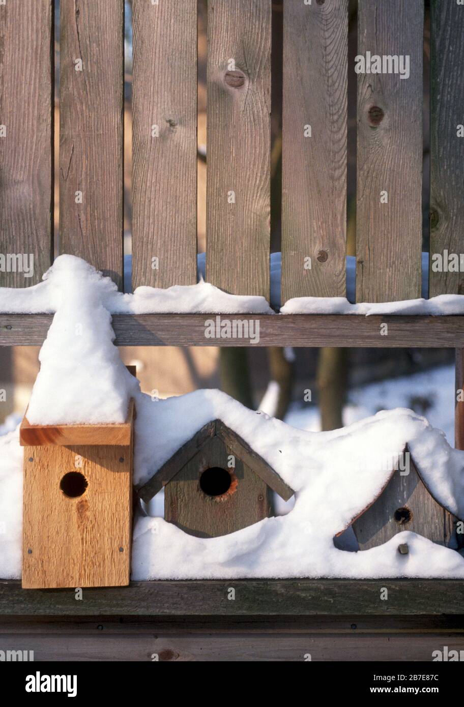 A neighborhood of three  birdhouses in Gold Hill Colorado, USA Stock Photo