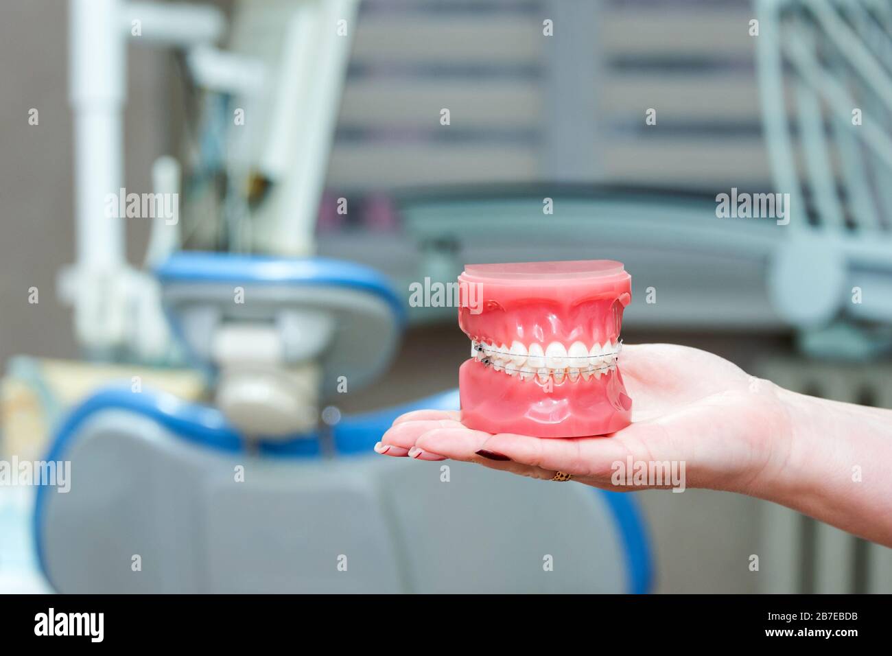 Orthodontic model and dentist tool - demonstration teeth model of ...