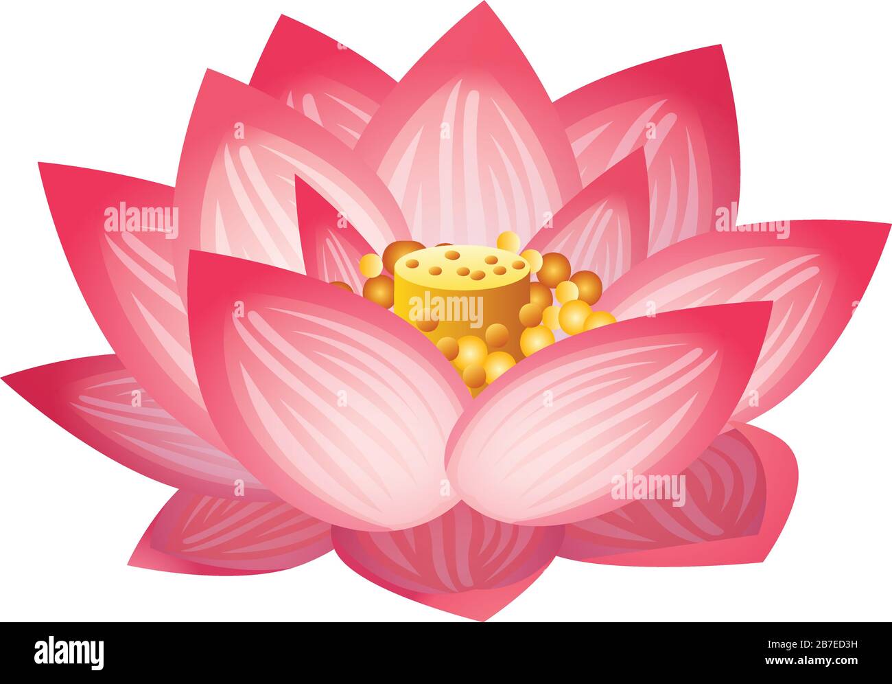 Lotus flower icon. Cartoon of lotus flower vector icon for web ...