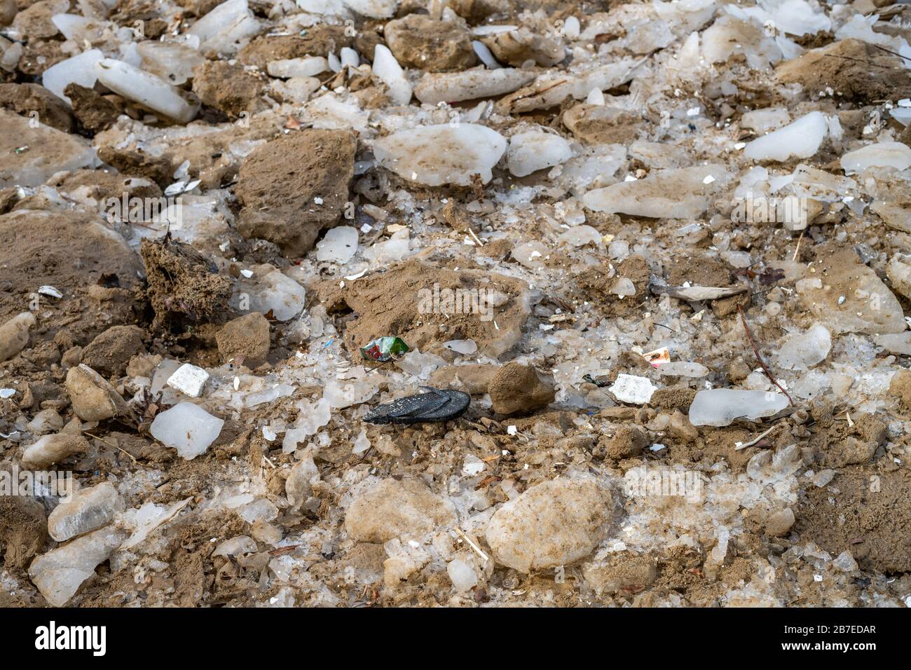 Debris on beach sand winter Stock Photo