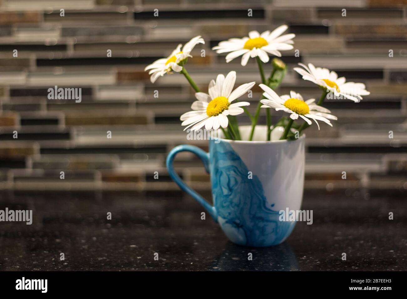 Daisies in a blue mug on a kitchen counter Stock Photo
