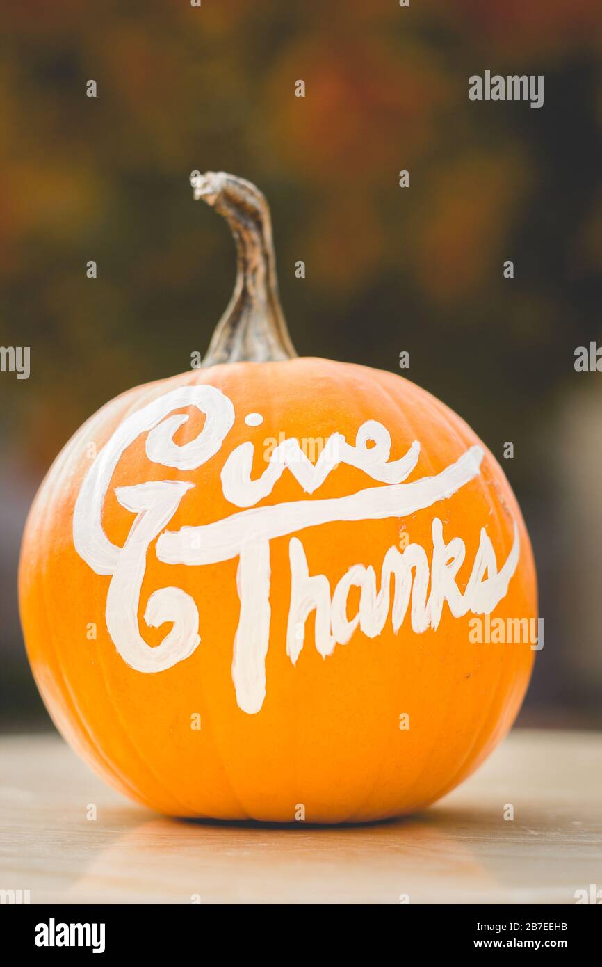 Pumpkin with 'Give thanks' painted on it Stock Photo