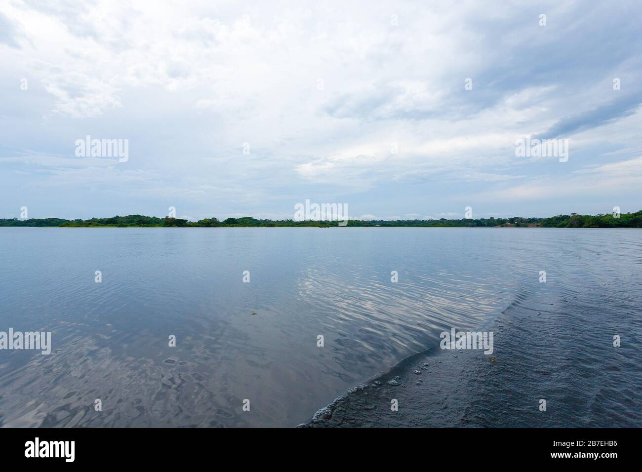 Panorama from Amazon rainforest, Brazilian wetland region. Navigable ...