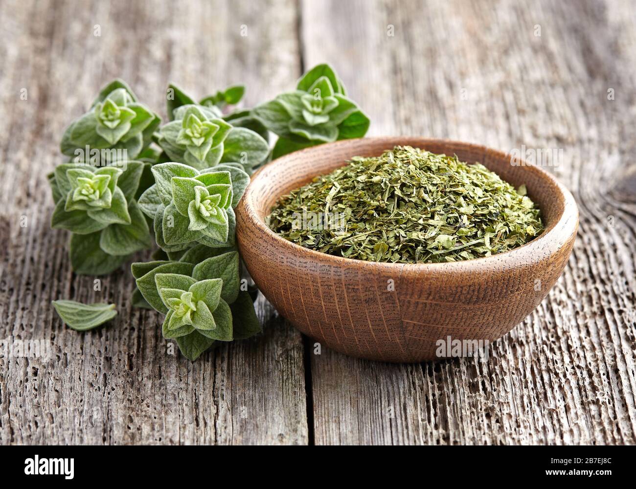 Oregano.Fresh and dry Stock Photo Alamy