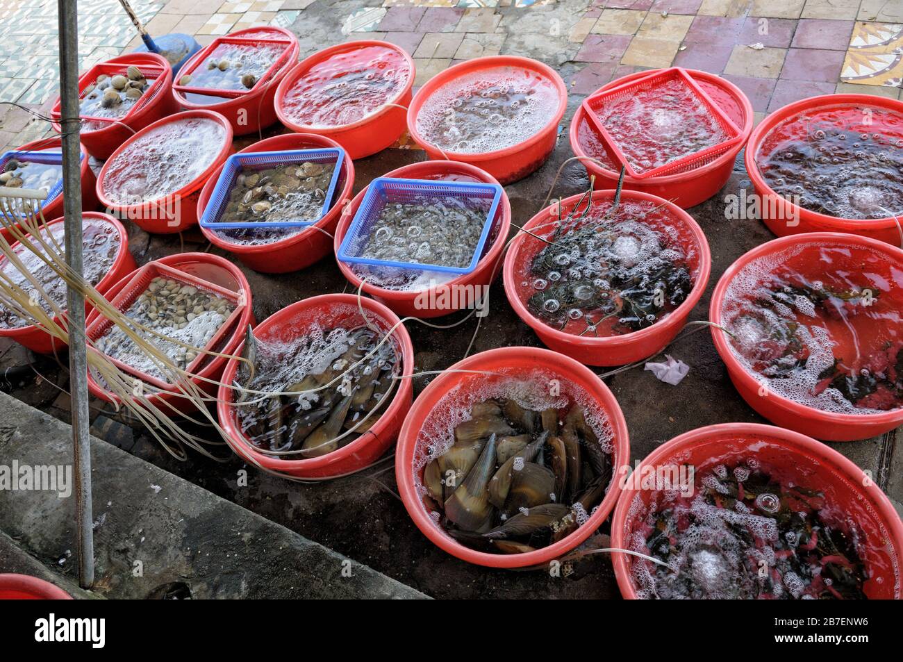 Seafood bins at a restaurant in Da Nang, Vietnam Stock Photo