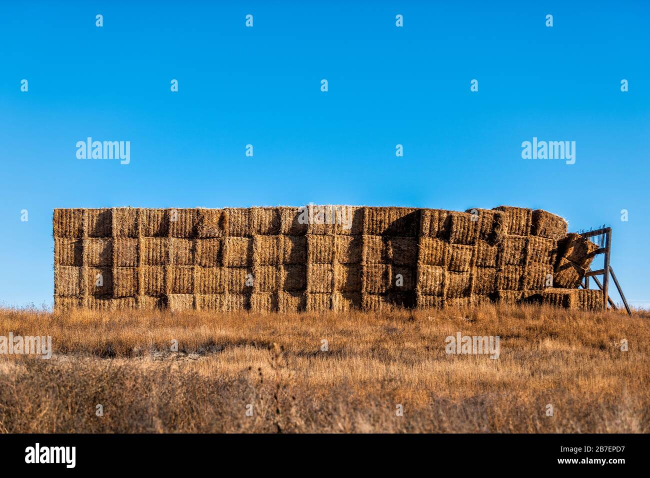 Hay stack bales near small town of La Junta, Colorado with rural farm countryside in Otero county and blue sky landscape Stock Photo