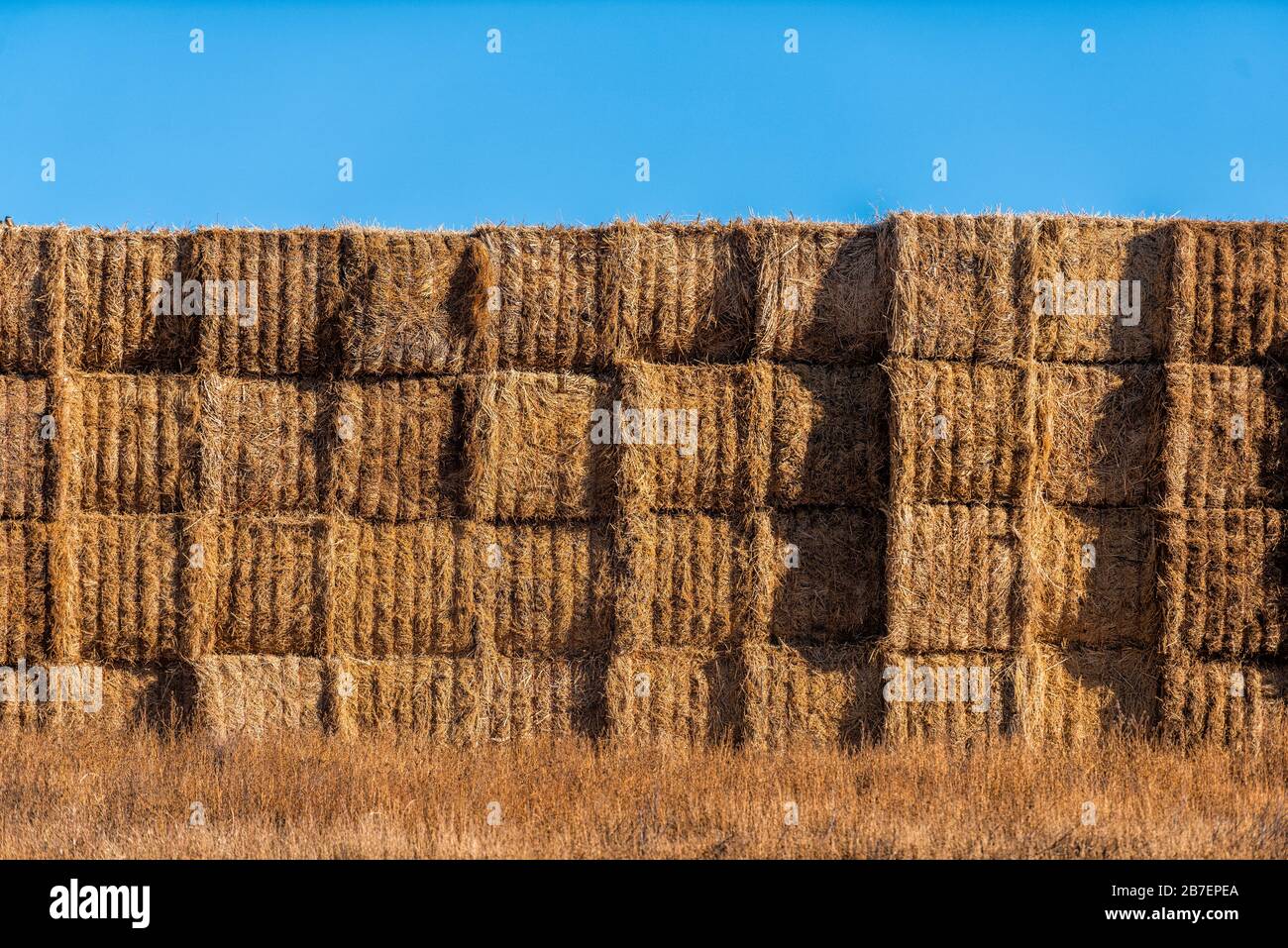 Hay stack bales closeup near small town of La Junta, Colorado with rural farm countryside in Otero county and blue sky landscape Stock Photo