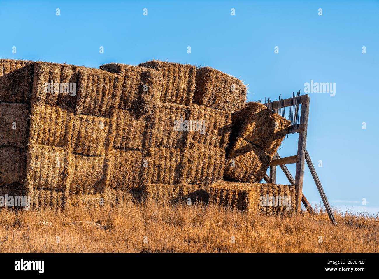 Brown hay stack bales in autumn closeup near small town of La Junta, Colorado with rural farm countryside in Otero county and blue sky landscape Stock Photo