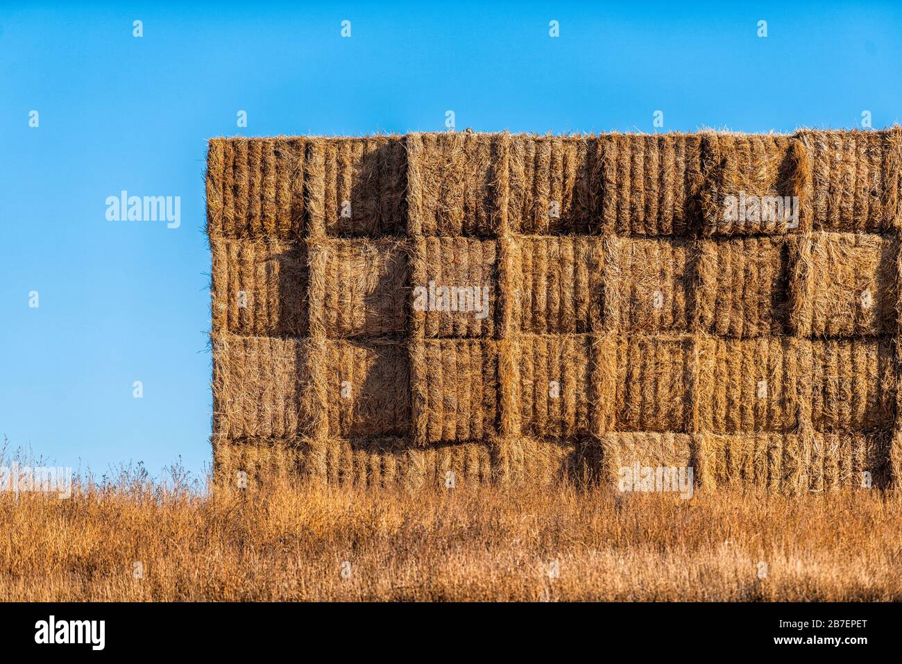 Brown hay stack bales closeup near small town of La Junta, Colorado with rural farm countryside in Otero county and blue sky landscape Stock Photo