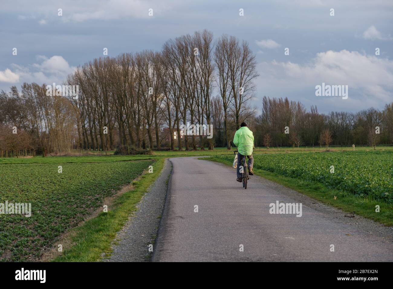 Outdoor sunny view of cyclist ride a bicycle on small road in suburb area surrounded with green agricultural field against cloudy blue sky in Germany. Stock Photo