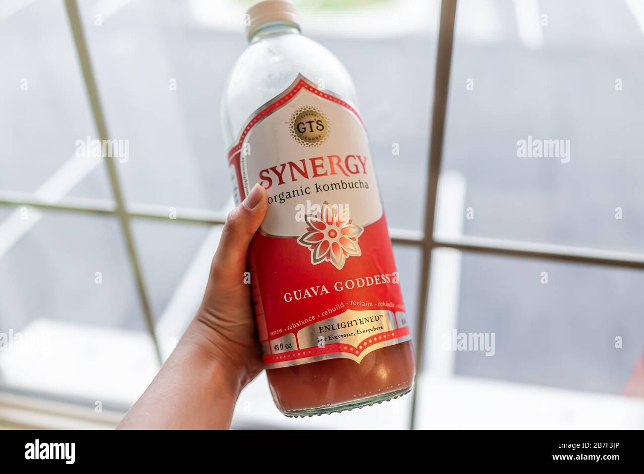Strafford, USA - October 15, 2019: Closeup of hand holding vegan food drink sign for Guava GT's Synergy Kombucha by window background Stock Photo