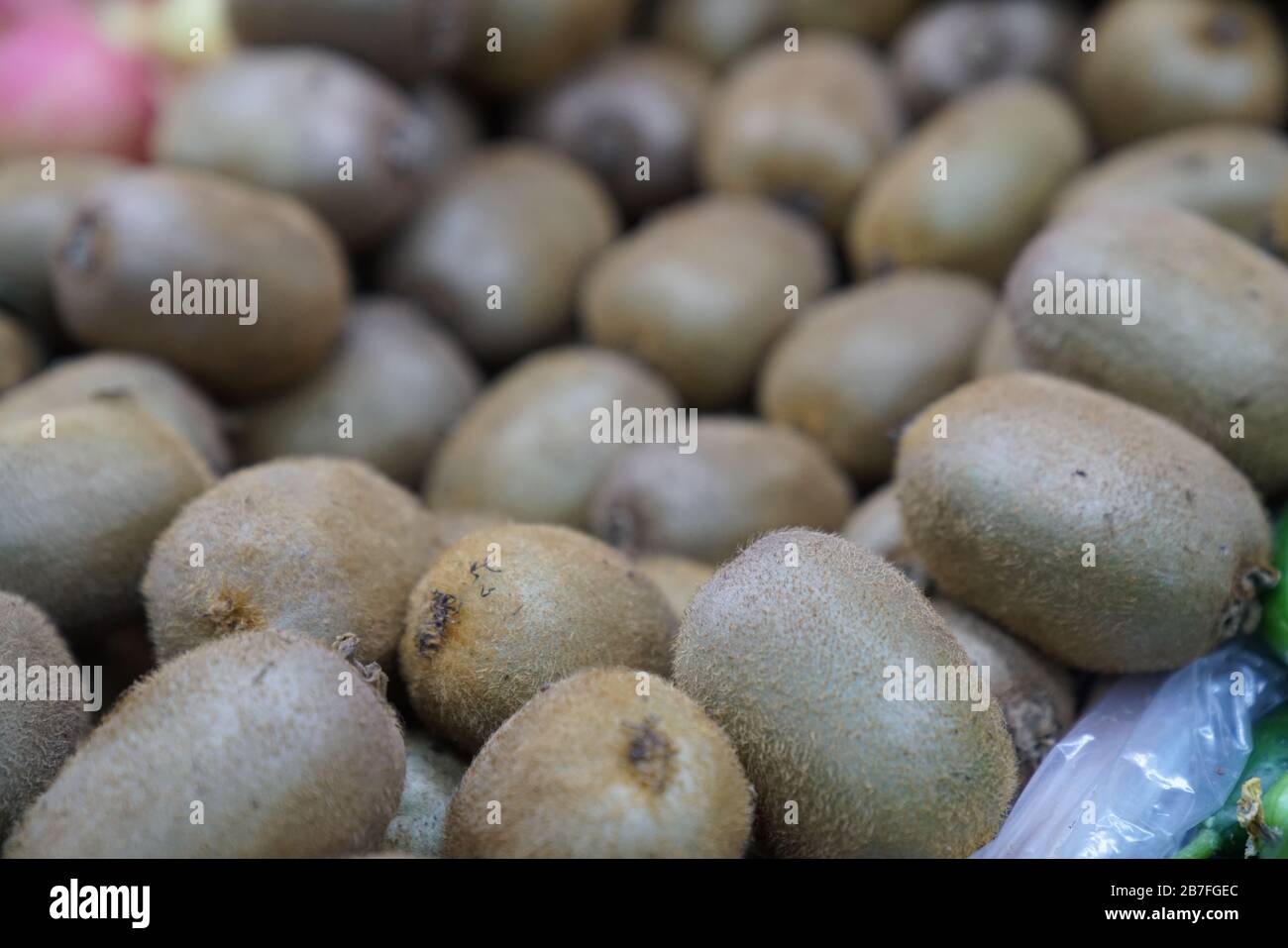 Kiwi bird eating hires stock photography and images Alamy