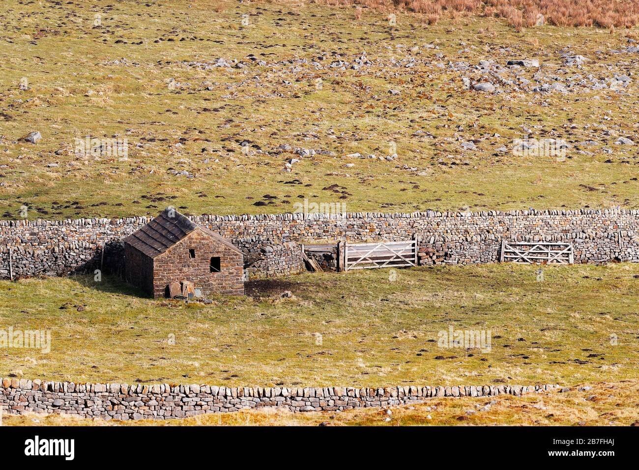 A Stone barn and sheep fold in the Greenhow area of North Yorkshire Stock Photo