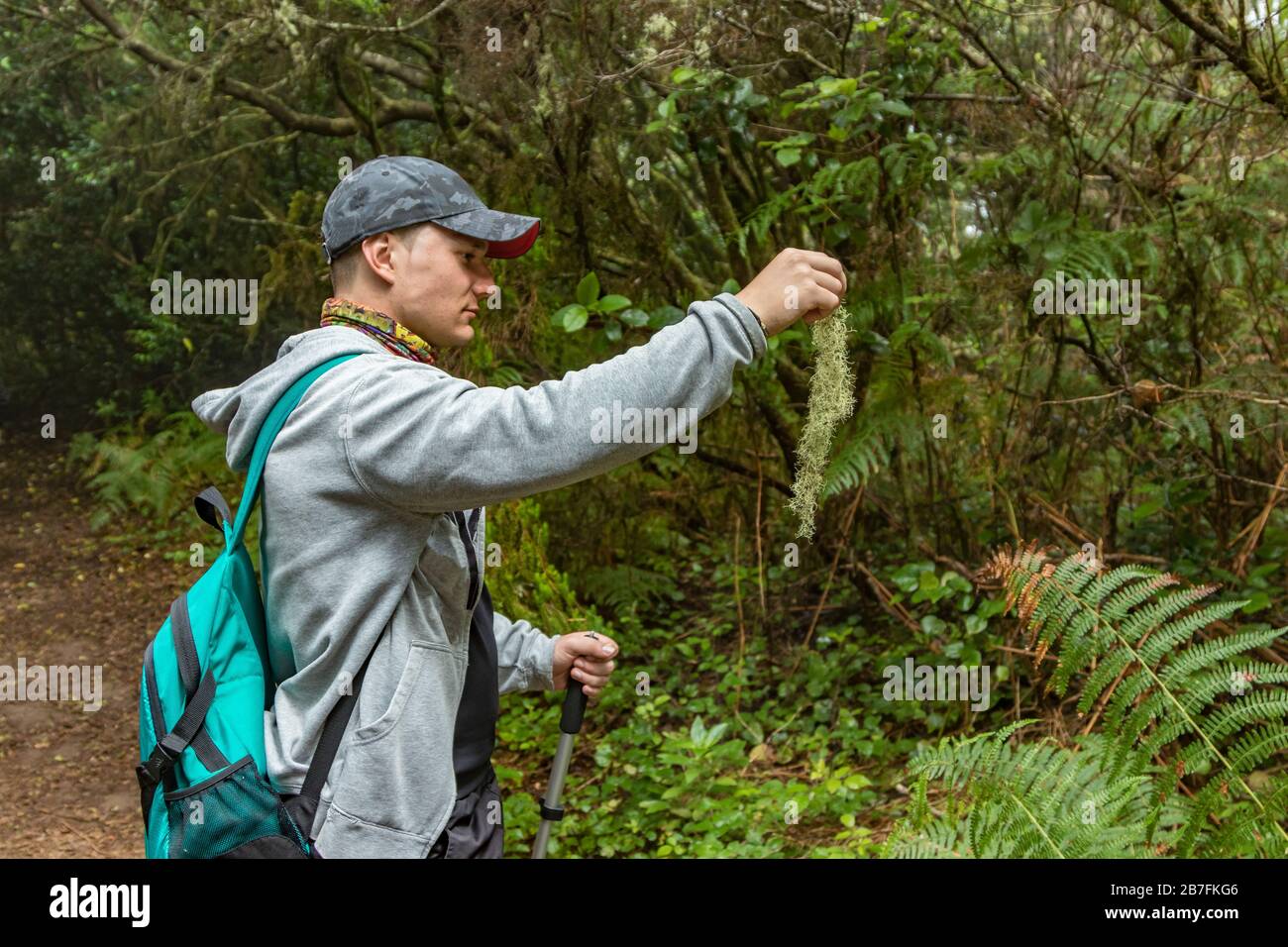 A young man in a cap with a backpack behind him on a walk through the unique enaga forest of Anaga. Holds a lichen in his hand. Pure nature and clean Stock Photo