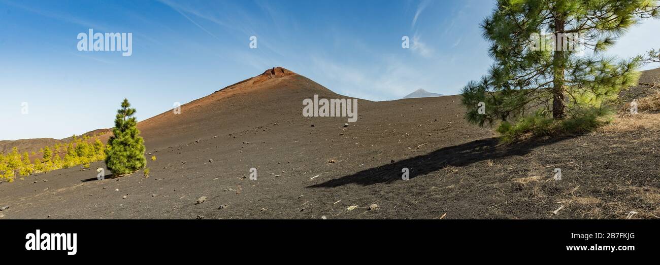Super wide panoramic view of Volcano Arenas Negras and lava fields around. Bright blue sky and white clouds. Teide National Park with Teide volcano in Stock Photo