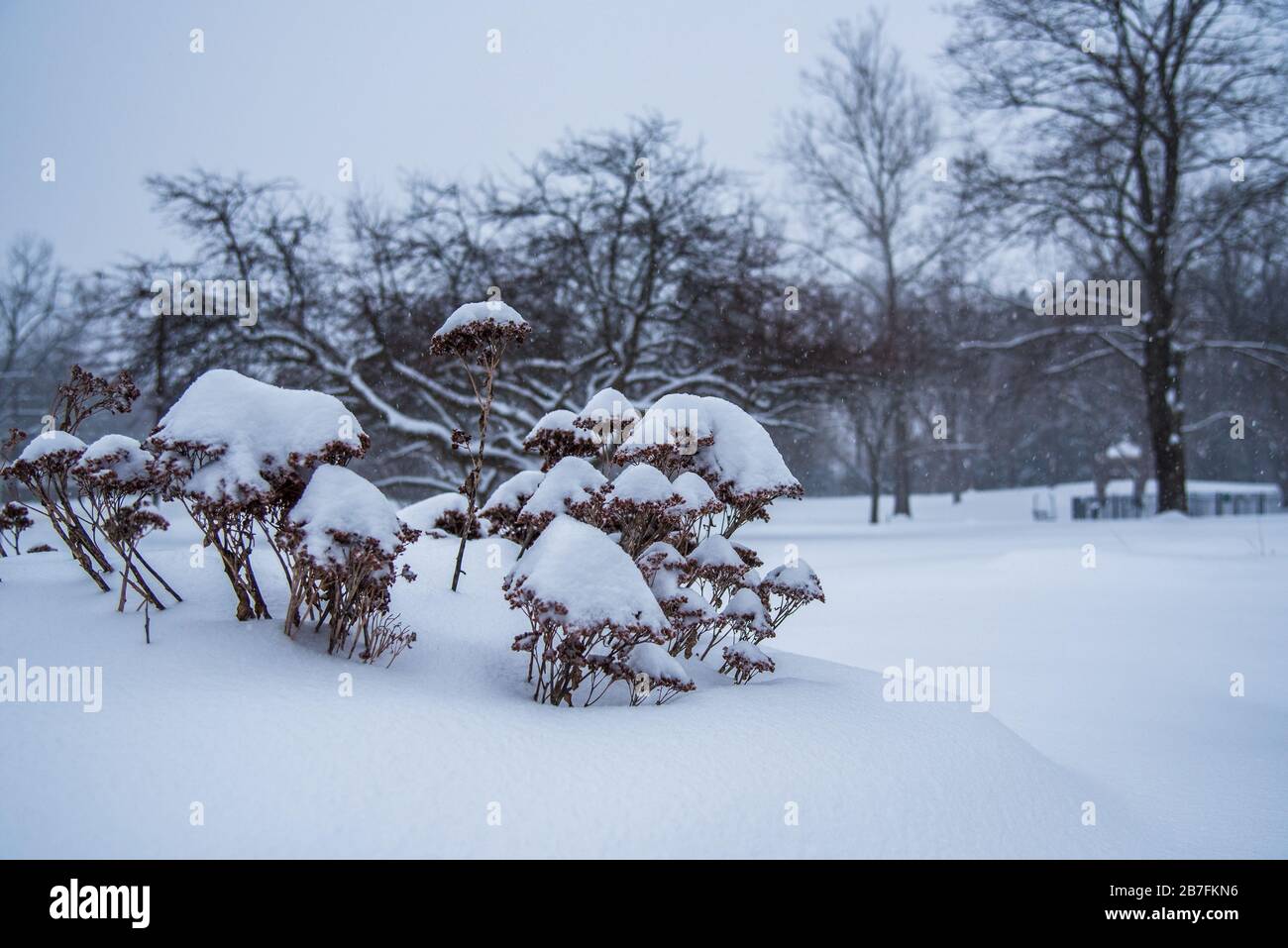 Greeley park after the snowstorm in Nashua New Hampshire USA Stock Photo