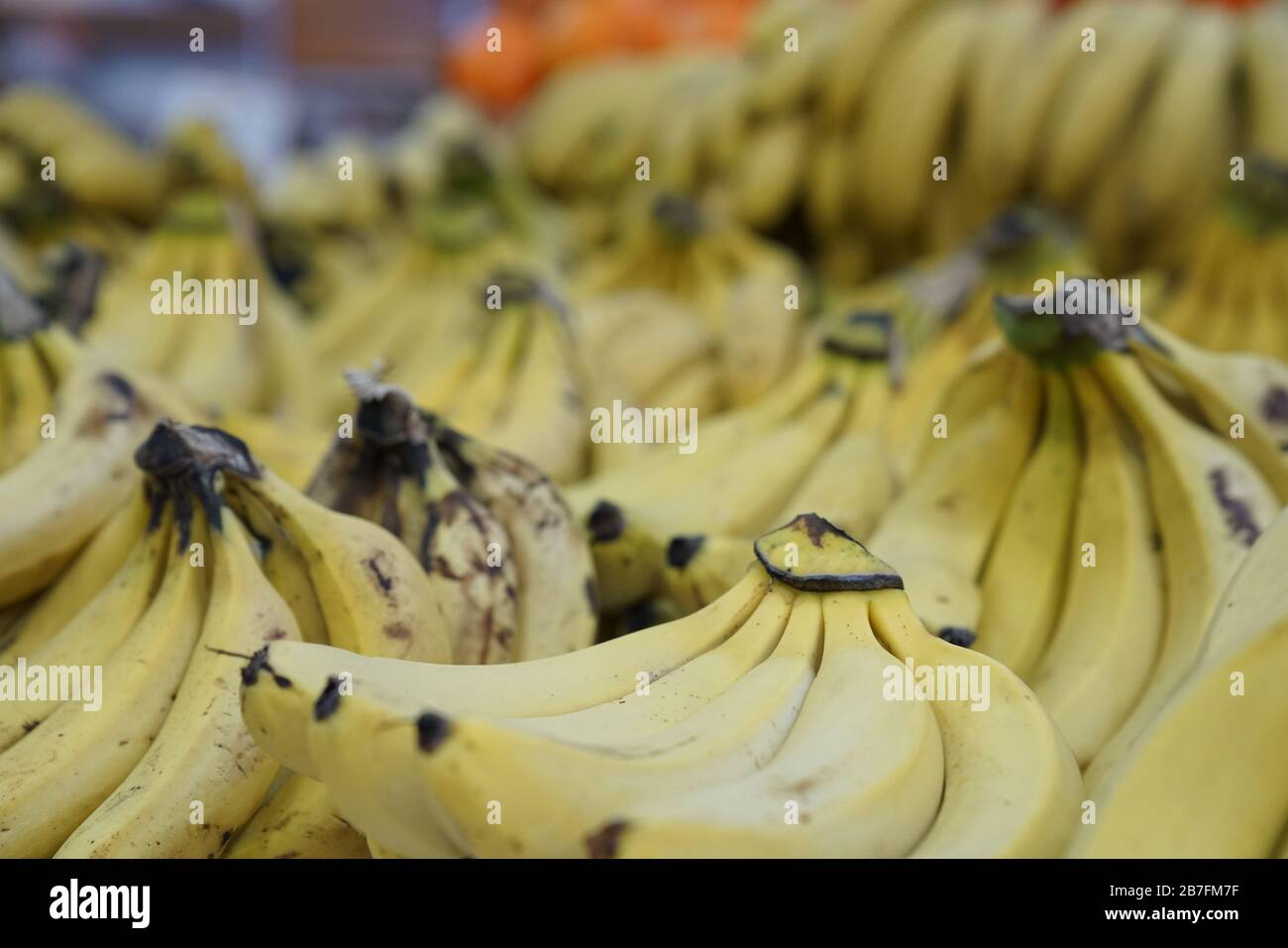 Bunch of Bananas on Red Background. Fresh Organic Banana, Fresh Bananas on  Kitchen Table Stock Image - Image of bkack, container: 62492349